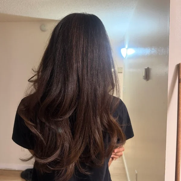 Rear view of long brown layers with softly turned ends